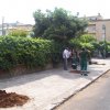 23 maggio 2011 Sabaudia: Il Verde è Vita